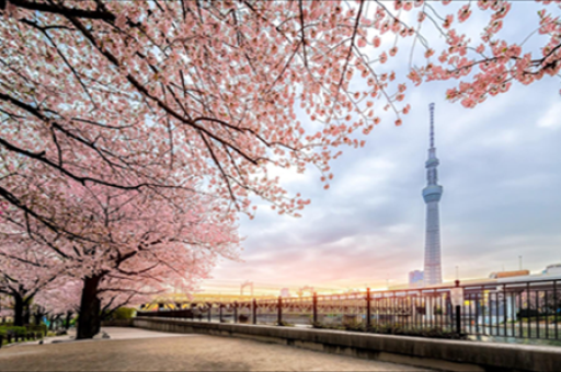乌鲁木齐夜空神秘发光体，探寻未知之谜