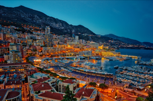 它来了它来了，国庆首日“警犬+机犬”组合“萌翻”绿道