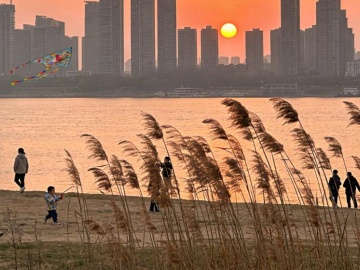 如何看待桃李面包月饼广告语引争议